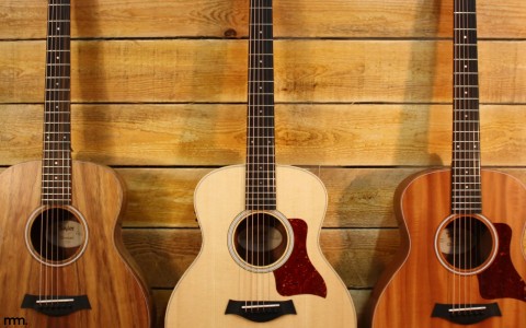 Taylor GS Mini vs Baby Taylor | Best Small Acoustic?